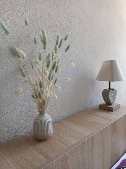 Appartement Cosy Au Coeur Du Mercantour Valdeblore Zewnętrze zdjęcie